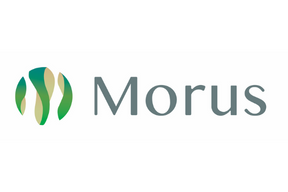 Morus株式会社
